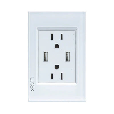 PLACA CON 2 CONTACTOS Y 2 ENTRADAS DE USB CRISTAL