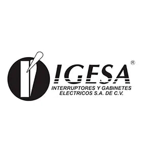 IGESA